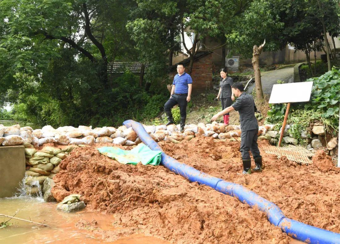 巢湖安徽最新水情动态